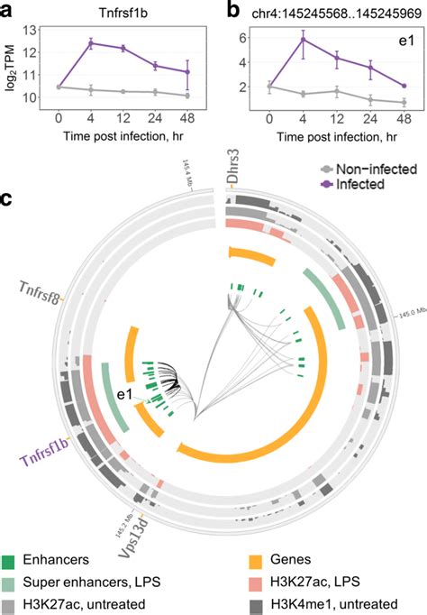 Regulation Of Tnfrsf1b By Induced Enhancers A Time Course Expression