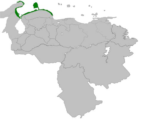 Primeros viajes y la Gobernación de Coquivacoa 1502 historia de venezuela