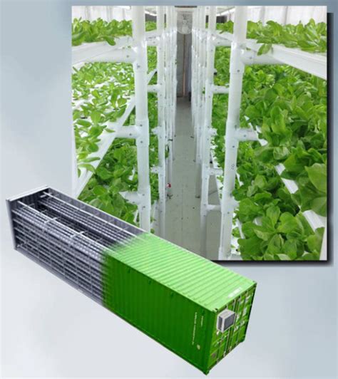 Shipping container farms for locally-grown produce