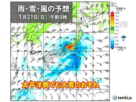 土曜日と日曜日 南岸低気圧の影響で広く雨や雪 関東南部の平地でも積雪かtenkijp Goo ニュース