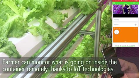 Farm Box Production A High Tech Indoor Farming Solution Youtube