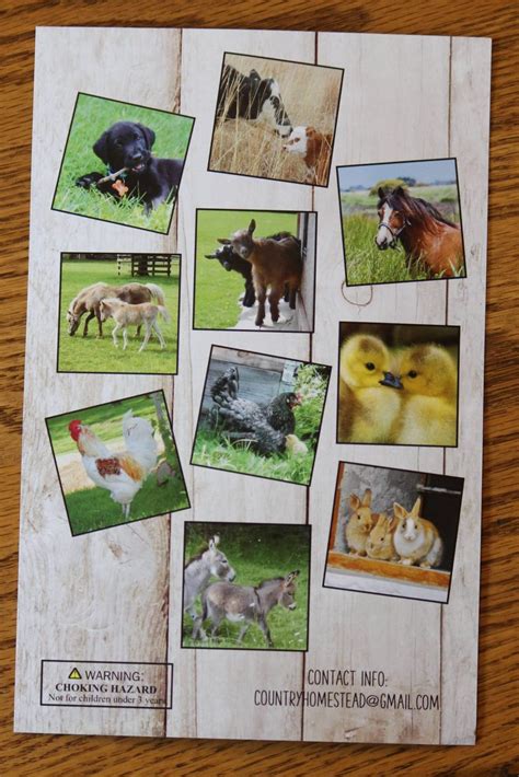 Farm Animal Memory Game 40 pieces 20 sets - Dutchman's Store