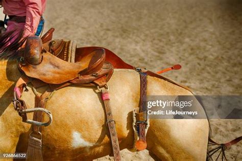 Saddle Bronc Saddles Photos and Premium High Res Pictures - Getty Images