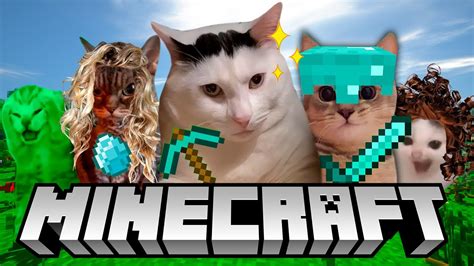 cat memes minecraft  youtube