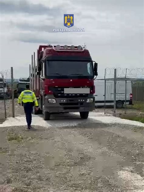 Peste De Metri Cubi De Lemn I Un Autocamion De De Euro