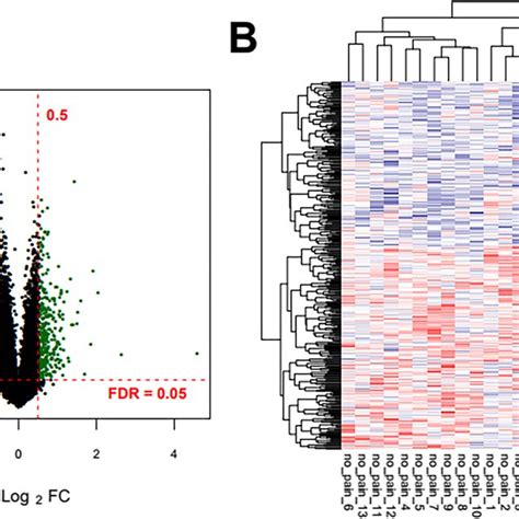 A Significant Differentially Expressed Rna Log Fc Log Fdr Volcano