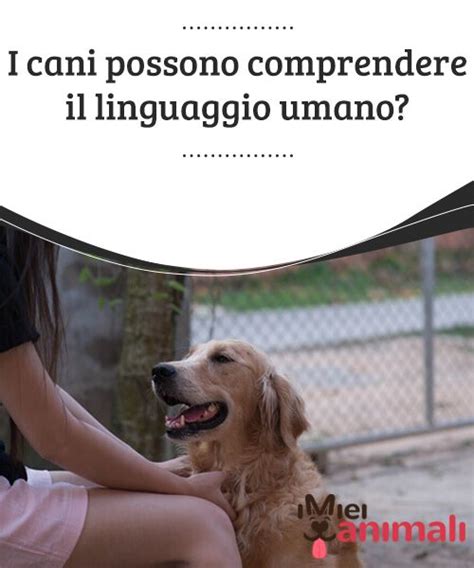 I Cani Possono Comprendere Il Linguaggio Umano Cani Comportamento