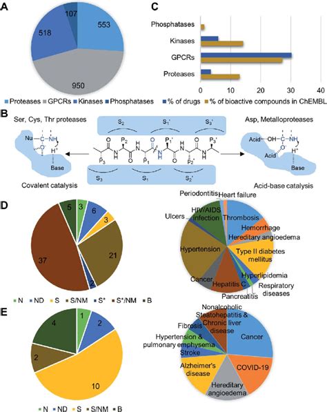 Proteases As Druggable Targets A Selected Common Druggable Targets