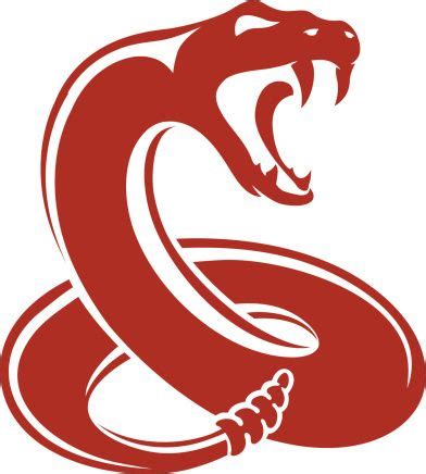 Logo Rattlesnake Vector - Snake Drawing