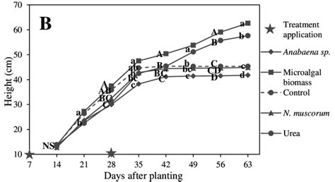 Over Time Effect Of Different Fertilization Treatments On Rice Plant