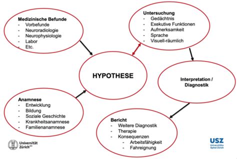 Neuropsychologie Schmid Flashcards Quizlet