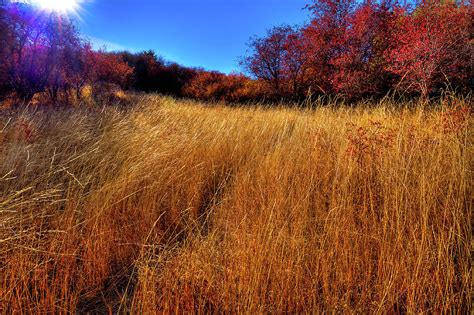 Autumn Path Photograph By David Patterson Fine Art America