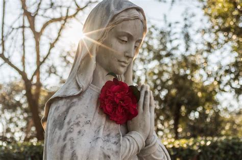 ¿por Qué La Devoción A La Virgen María