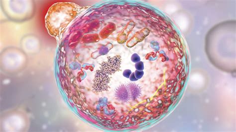 Autophagy S Hidden Drivers Exploring The Role Of Post Translational