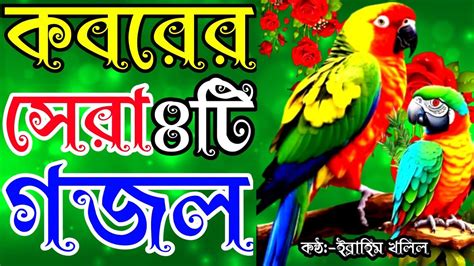 এই গজল গল শনল আপনর জবন পরবরতন হয যত পর gojol bangla