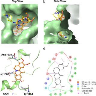 Binding Poses Of Ligands In The Substrate H Peptide Binding Site A