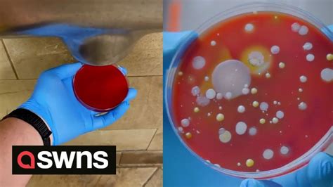 Video Shows The Shocking Amount Of Bacteria Harboured By Hand Dryers