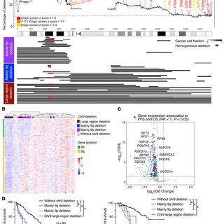 Deletion of chromosome 9 was associated with poor survival. (A ...