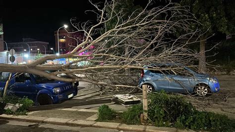 Raffiche Di Vento Colpiscono Palermo E La Provincia Albero Cade Su Due