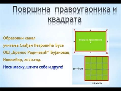 Povrsina Pravougaonika I Kvadrata Za IV Razred By Djusa YouTube