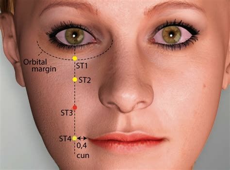 St Juliao Stomach Meridian Acupuncture Point