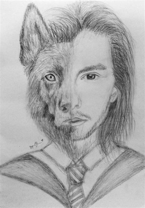 Sirius Blackanimagus Drawing Animagus Meaning Harry Potter Amino