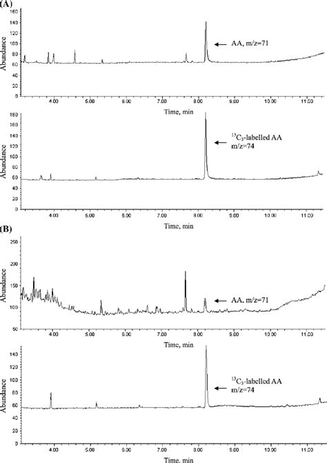 Typical Gc Ms Chromatograms Generated From A Real Sample After Methanol Download Scientific