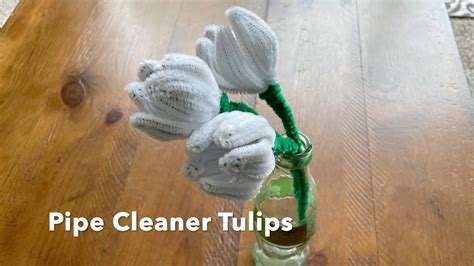 How To Make Pipe Cleaner Flowers Tulips Youtube