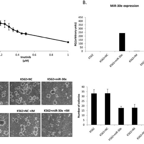 Over Expression Of Mir 30e Inhibits The Growth Of K562 Cells A K562