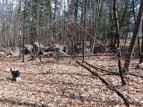 Heron Point Sactuary Loop Trail New Hampshire Alltrails