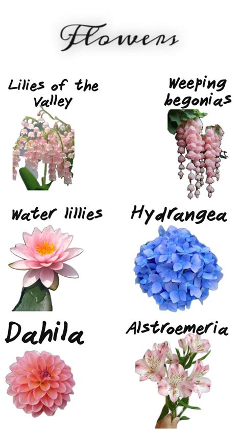 Flowers You Never Knew About In 2024