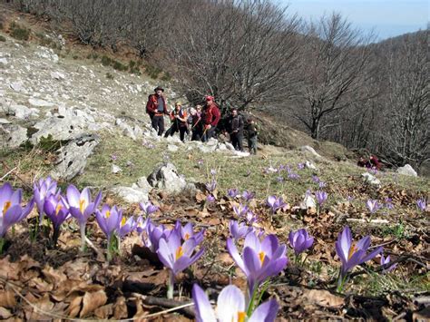 Taburno Trekking Montesarchio Marzo Il Sentiero Dei Valloni