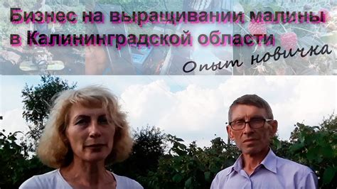 Бизнес на малине - YouTube