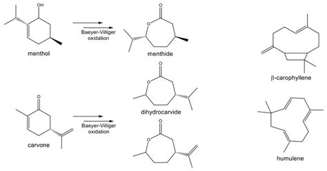 Synthesis And Structure Of Some Polymerizable Cyclic Terpenes