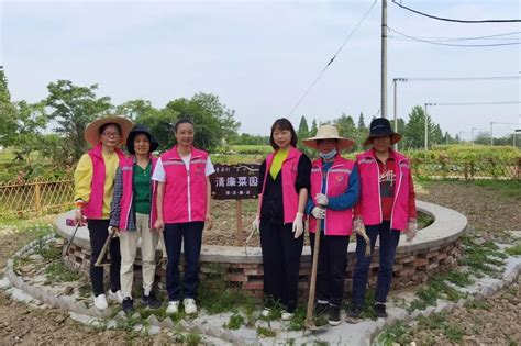 优美庭院风采展 全域美丽 巾帼助力——余新镇篇澎湃号·政务澎湃新闻 The Paper