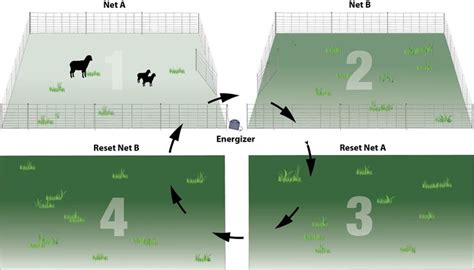 Practical Pasture Configurations For Rotational Grazing