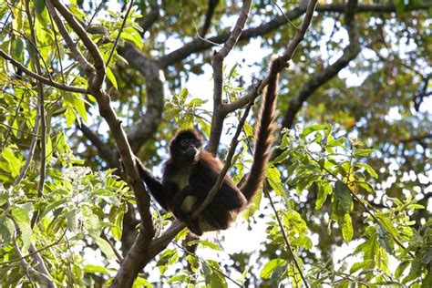 Atitlan Nature Reserve - Western Highlands, Guatemala | Anywhere