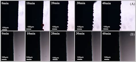 The Operando Optical Microscope Photos Of Bare Zn A And Znsa B