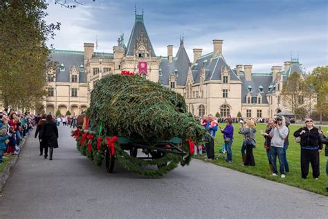 Christmas at Biltmore kicks off with traditional Christmas tree ...