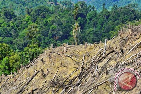 48 8 Juta Penduduk Indonesia Tinggal Di Hutan ANTARA News