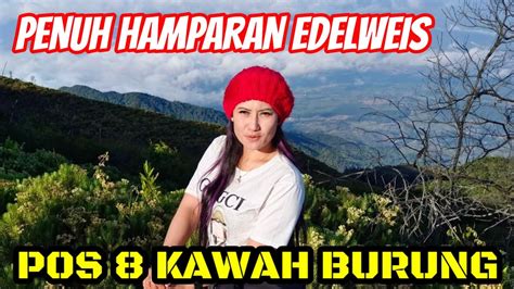 Pendakian Gunung Ciremai Via Sadarehe Pos 8 Kawah Burung Puncak YouTube