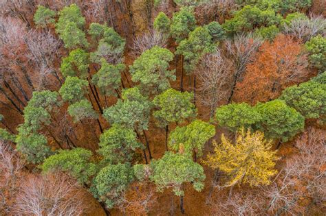 Germany Baden Wuerttemberg Swabian Franconian Forest Aerial View Of