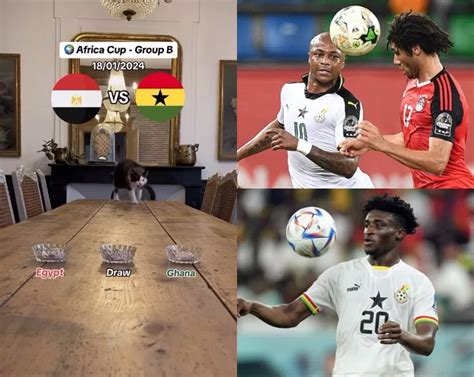 Cat Predicts Ghana Draws With Egypt In Group B AFCON 2023 Fixtures VIDEO