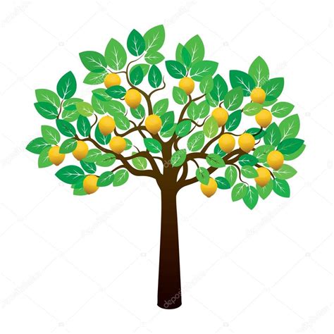 Vector arbol de limon Árbol de limón y frutas Ilustración de vector