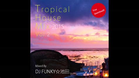 Tropical House Mix 2015 Vol2 Mixed By Dj Funky池田 Youtube