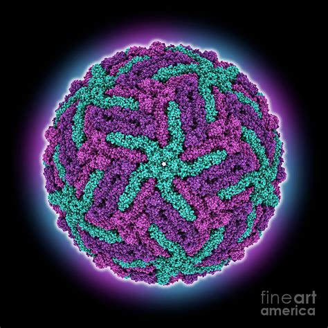 Usutu Virus Capsid Photograph By Laguna Design Science Photo Library