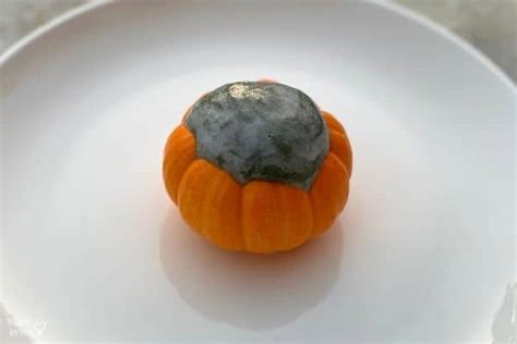 Erupting Mini Pumpkin Volcanos | Mombrite