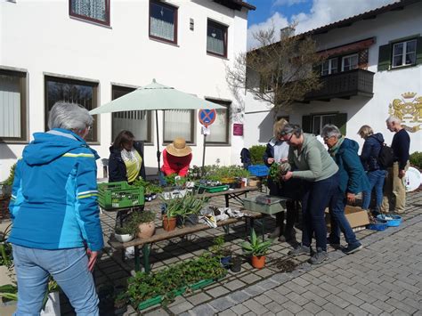 Pflanzentauschtag Obst Und Gartenbauverein Uffing