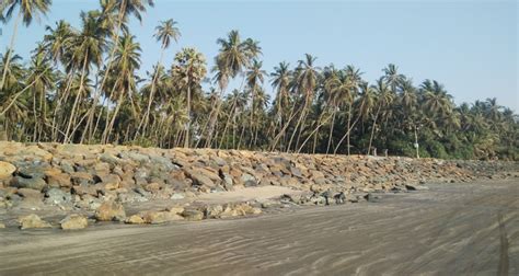 Gorai Beach Mumbai (History, Entry Fee, Images, Built by & Information ...