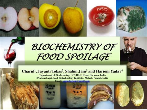 Ppt Biochemistry Of Food Spoilage Powerpoint Presentation Free